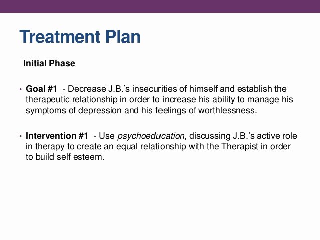 Therapy Treatment Plan Template Beautiful Individual therapy W Case Study
