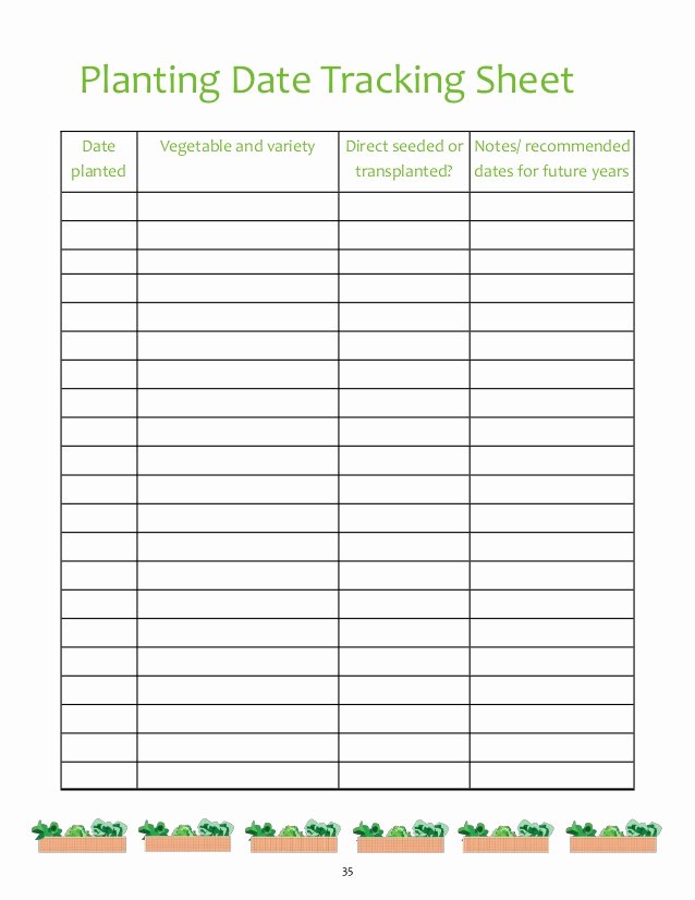 Tracking Volunteer Hours Template Inspirational Summer In the School Garden A Resource for Working with