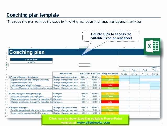 Transition Management Plan Template Fresh Change Plan Management Strategy Process organizational
