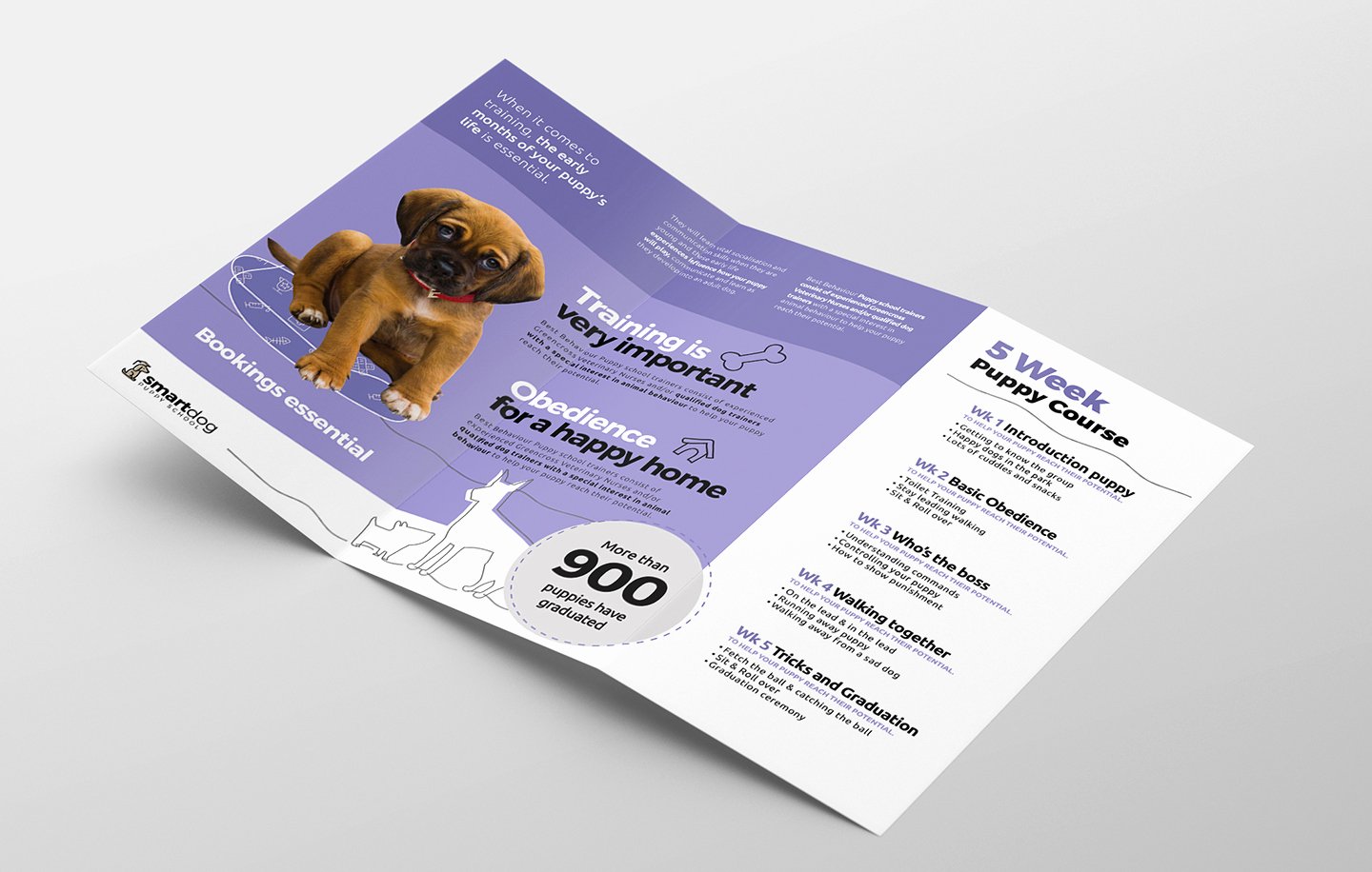 Trifold Brochure Template Illustrator Fresh Puppy School Tri Fold Brochure Template In Psd Ai
