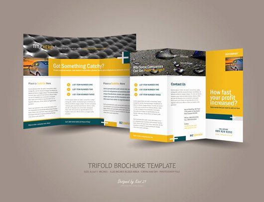 Trifold Brochure Template Photoshop Beautiful Business Tri Fold Brochure Designs Dzinepress