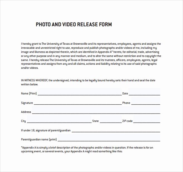 Video Release forms Template Lovely 9 Video Release forms