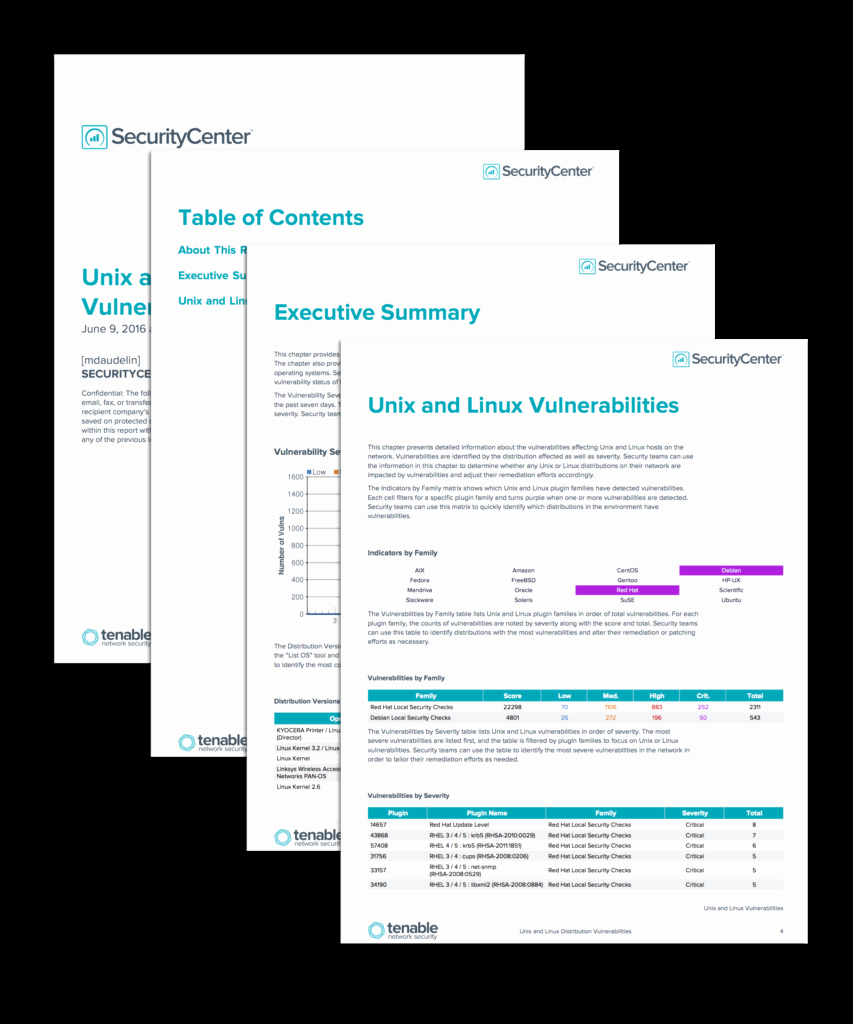 Vulnerability assessment Report Template Best Of Network Vulnerability assessment Report Sample Spreadsheet