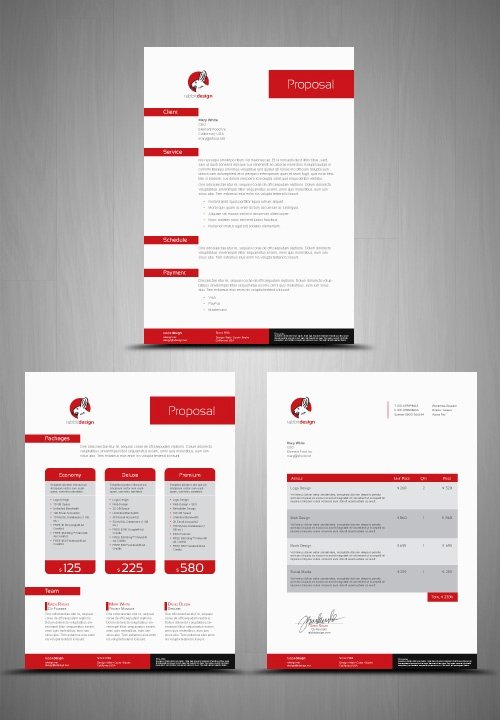 Website Redesign Proposal Template Lovely 17 Best Images About Exemples Indesign On Pinterest