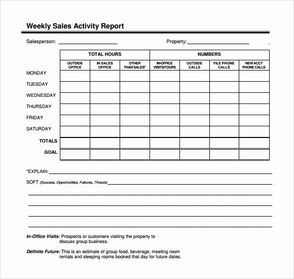 Weekly Activities Report Template Awesome 12 Sales Call Report Sample – Free Examples &amp; format
