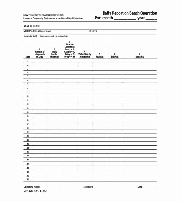 Weekly Activity Report Template Fresh 64 Daily Report Templates Pdf Docs Excel