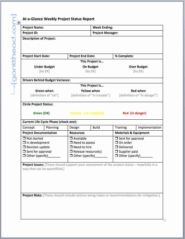 Weekly Management Report Template Fresh Projectmanagement at A Glance Weekly Project Status