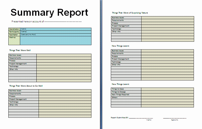 Weekly Management Report Template Lovely Summary Report Template