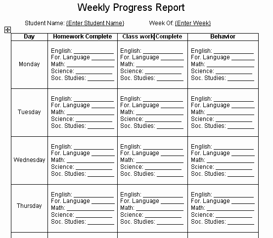 Weekly Progress Report Template Luxury 8 Weekly Progress Report Template Project Management