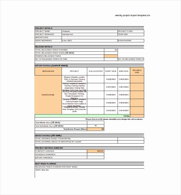 Weekly Report Template Excel Inspirational Project Report Excel format Project Highlight Report