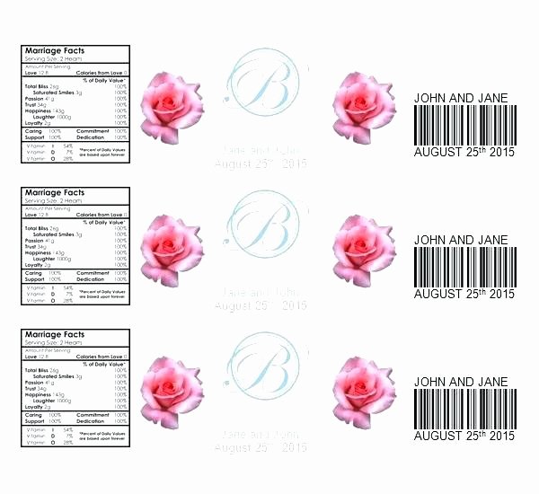 Wine Label Template Word Elegant Wine Label Template Word Tag Free Bottle Templates Water