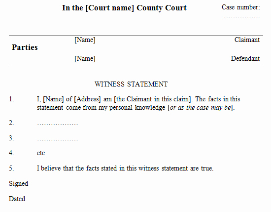 Witness Statement Template Word Awesome 6 Witness Statement Templates