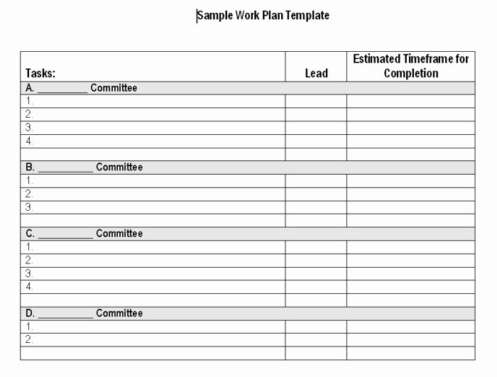 Work Plan Template Word Elegant Work Plan Template