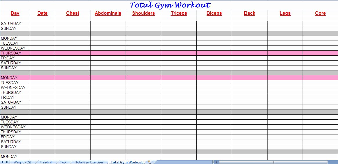 Workout Plan Template Excel Lovely 3 Excel Workout Templates Excel Xlts
