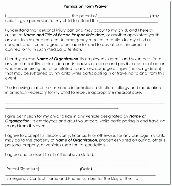 Youth Permission Slip Template Unique Youth Permission Slip Template Doc – Nppa